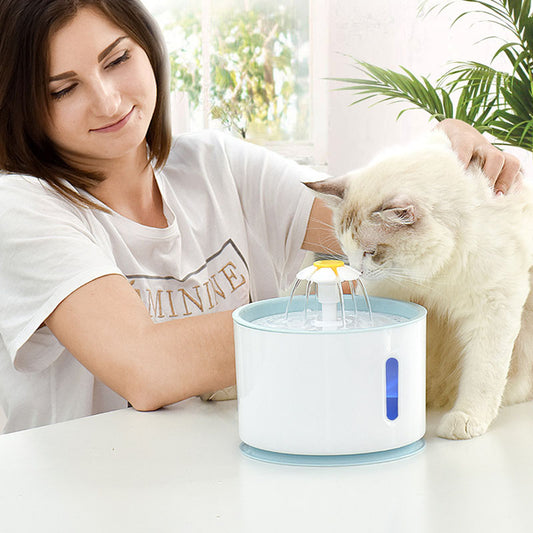 Pet USB Electric Water Feeder Lacks Water - All You Need
