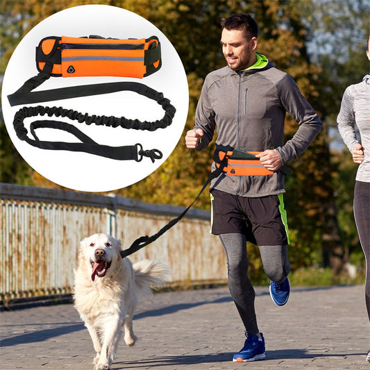 Pet Purse Leash For Dog Walking - All You Need